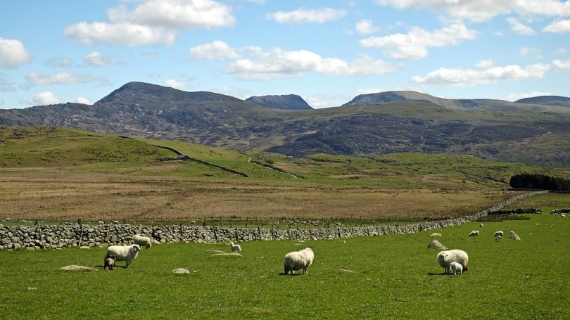 Na szlaku Fonlief Hir