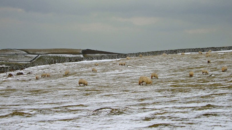Na szlaku Fonlief Hir
