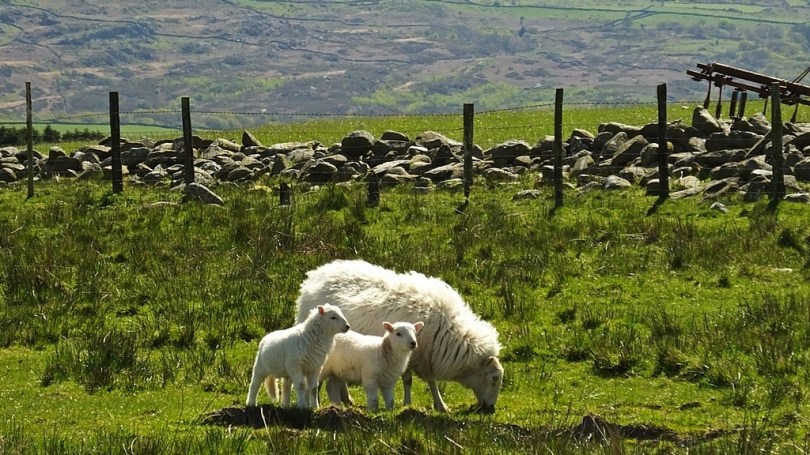 Na szlaku Fonlief Hir