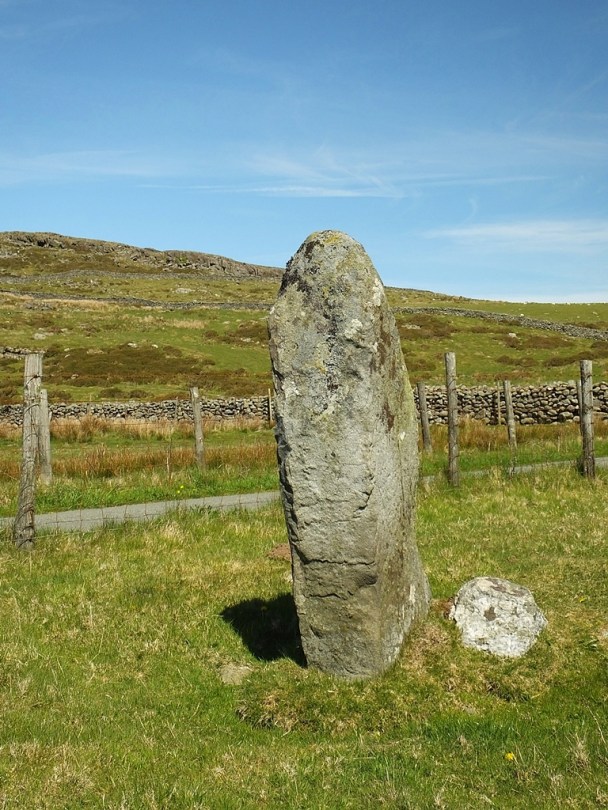 Carreg Standing Stone
