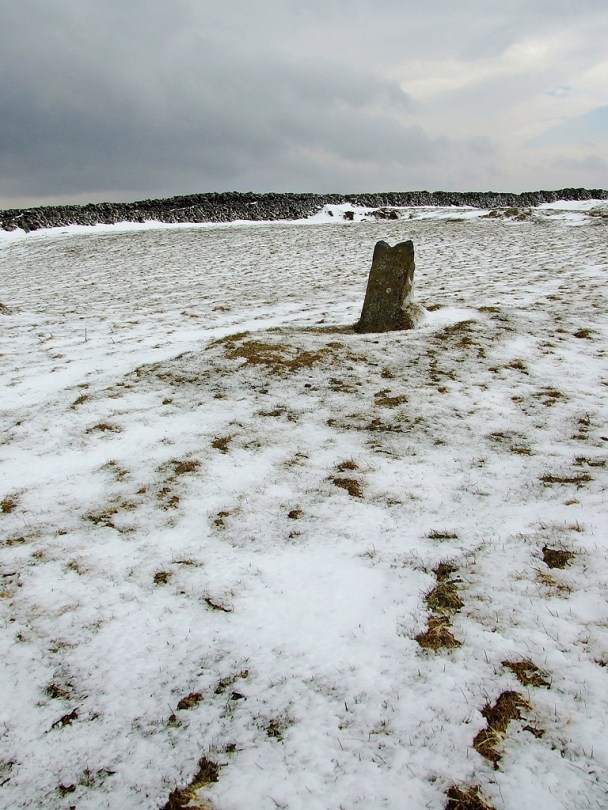 Fonlief Hir 'E' Standing Stone