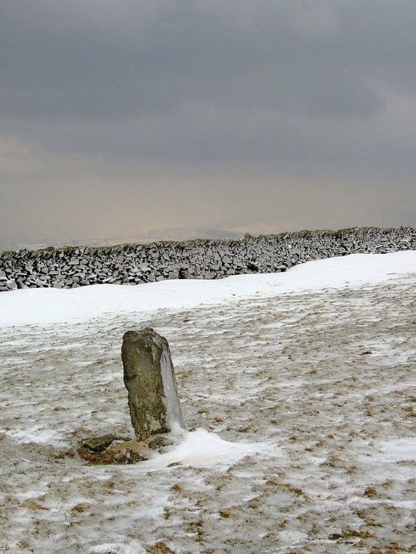 Fonlief Hir 'C' Standing Stone
