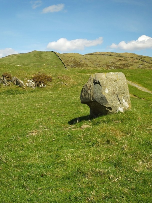 Fonlief Hir 'D' Standing Stone