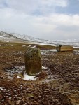 Moel Goedog Stone 1