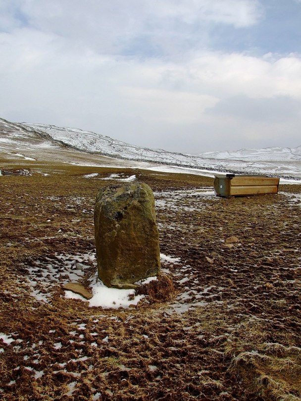 Moel Goedog Stone 1