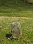 Moel Goedog Stone 1