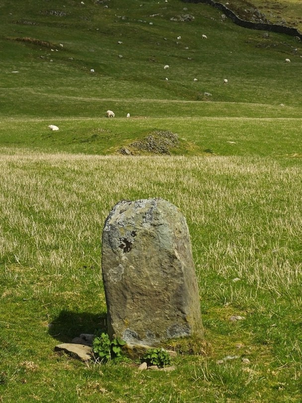 Moel Goedog Stone 1