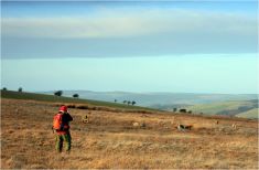 10818337_10152557694582747_3847374558495819577_o