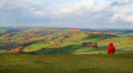 6339518859_7cbc12f147_o