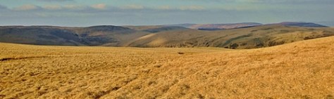 (nie zawsze) Zielona Pustynia Walijska