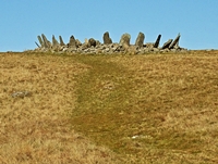 Bryn Cader Faner