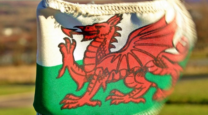 Witajcie w naszej bajce