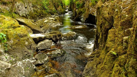 Fairy Glen