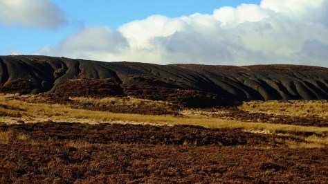 Dziś nawet pokopalniane hałdy, ponownie odbierane przez naturę, wyglądają malowniczo