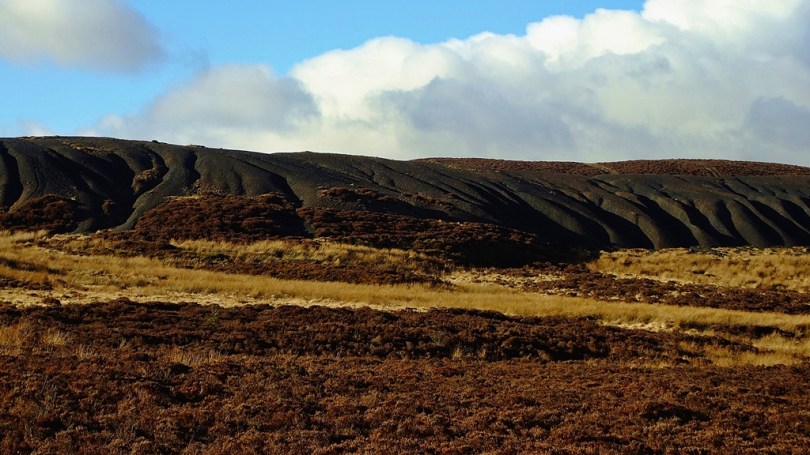 Dziś nawet pokopalniane hałdy, ponownie odbierane przez naturę, wyglądają malowniczo