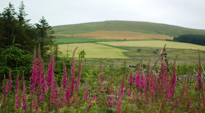 Idealny weekend w Mynydd Preseli / Pembrokeshire