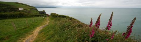 Walia - Wales - Cymru