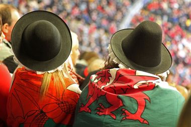 Two Welsh Dragons by zoonabar/flickr