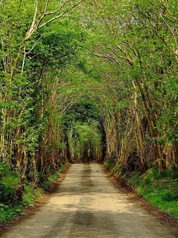 Typowa droga w Czarnych Górach