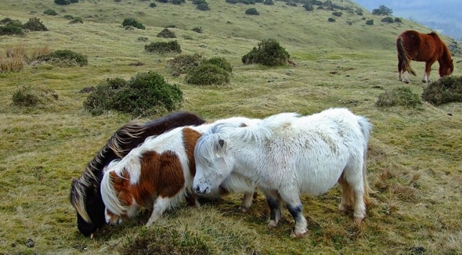 Ukryte skarby Czarnych Gór [cz. 1.]