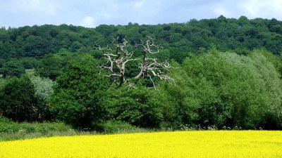 Krajobraz południowego Herefordshire
