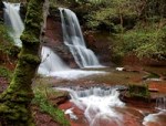 Wodospad Czarownic w Talgarth