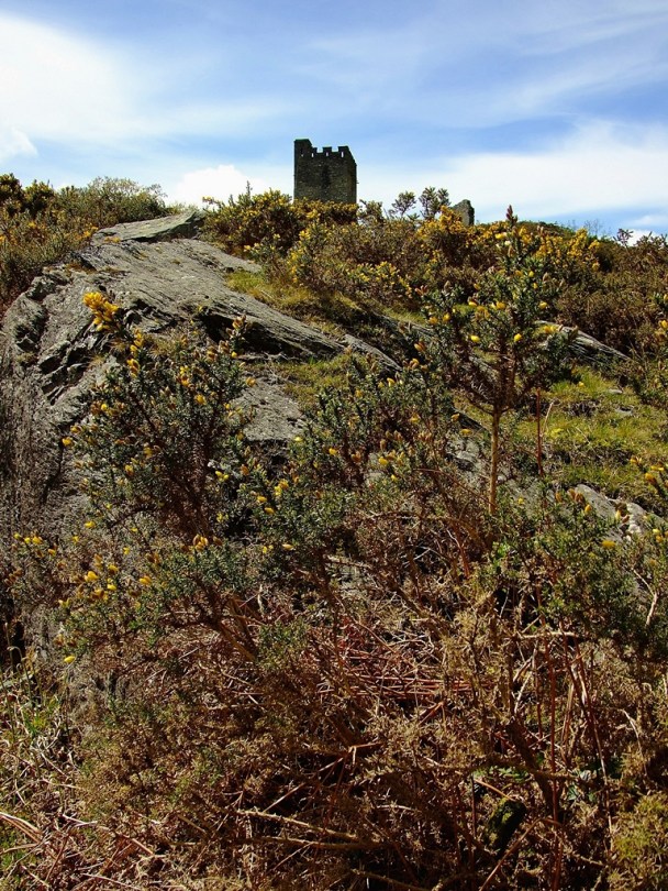 Dolwyddelan Castle