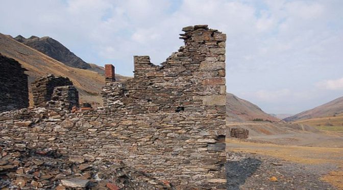 Dla wielbicieli dziwów