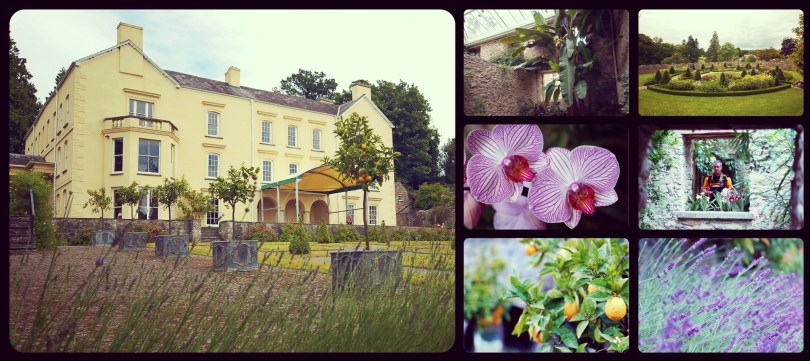 Aberglasney Gardens