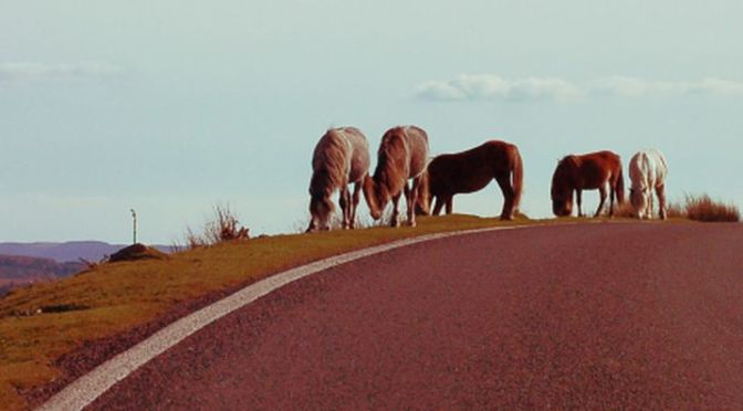 Przewietrzyć głowę / wersja dla wygodnych