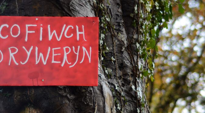 Cofiwch Dryweryn – pamiętaj o Tryweryn