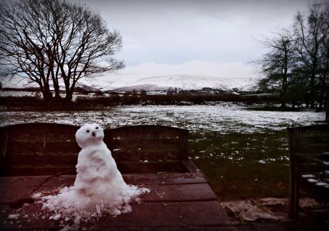 12240868_961151647282344_2607388886805170108_o