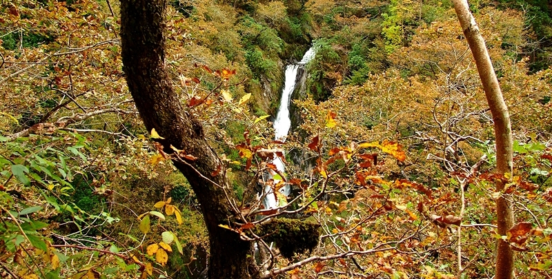 Wodospady Devil's Bridge