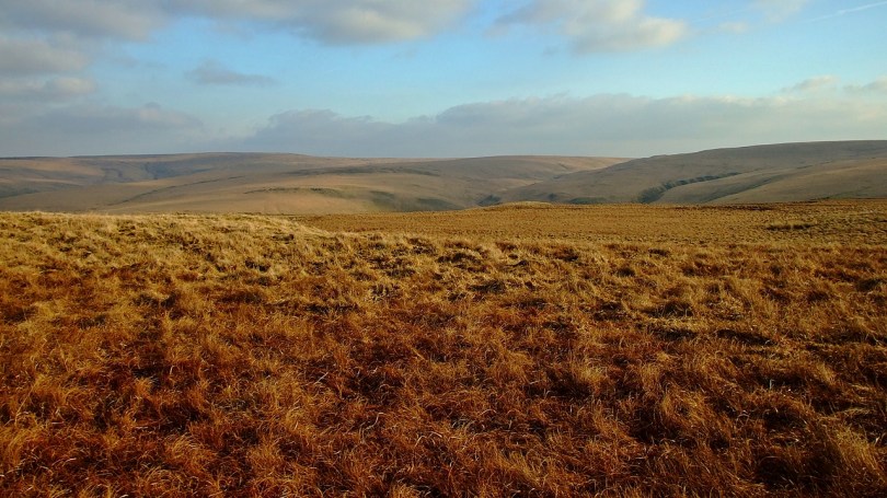 Na wzgórzach nad Doliną Claerwen