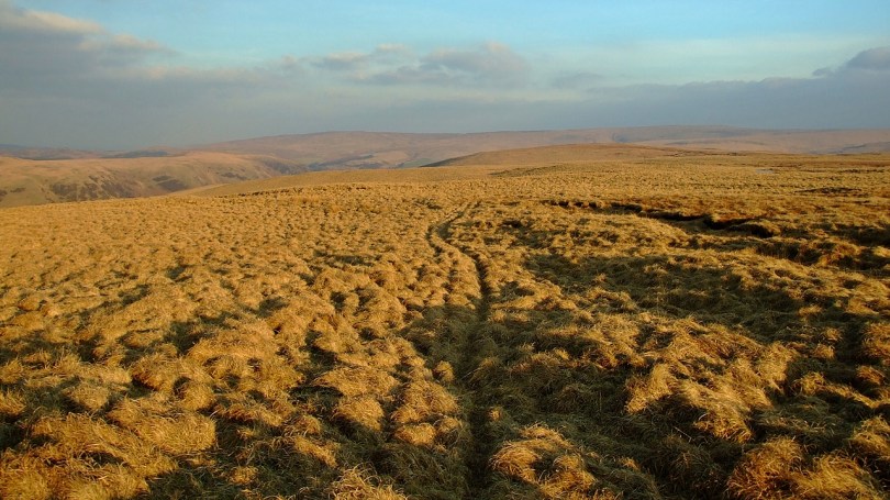 Na wzgórzach nad Doliną Claerwen