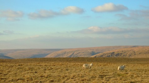 Na wzgórzach nad Doliną Claerwen