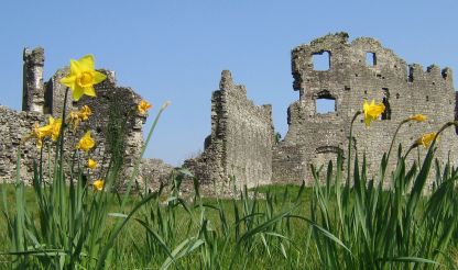 2265756062_b86c1b1f10_o