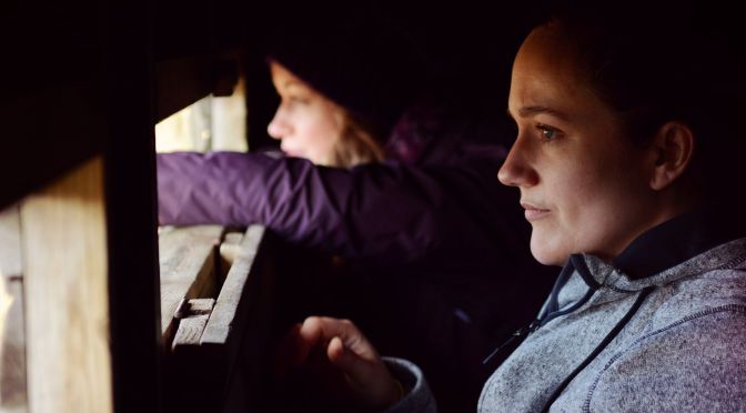 Poradnik początkującego emigranta