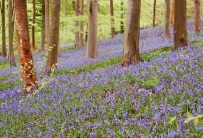 13041242_1051398754924299_7792661806847119770_o