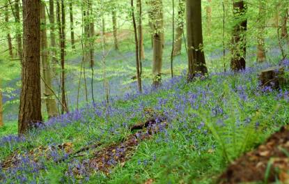 13055252_1051398501590991_5327727121821611629_o