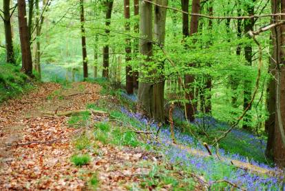 13072653_1051399228257585_547148900266121469_o