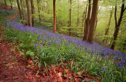 13072782_1051398798257628_4170236898238038683_o