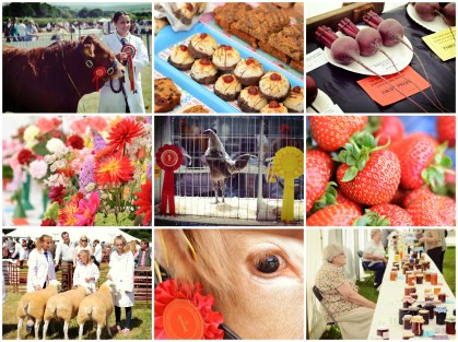 Brecon County Show