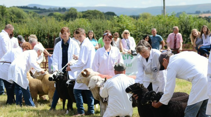 County Show czyli o potędze wiejskiego festynu