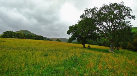 Ty Mawr standing stone