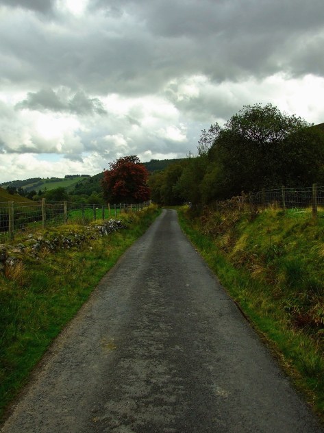Polna droga gdzieś w okolicach Neuadd