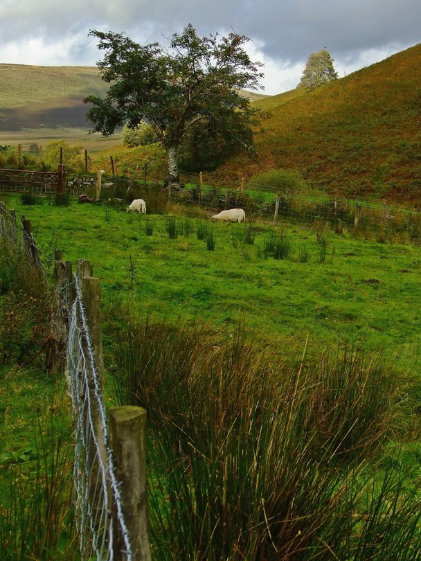 Krajobrazy u stóp wzgórza Y Garth