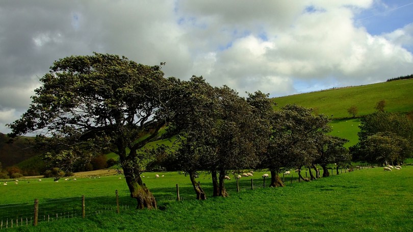 Krajobrazy u stóp wzgórza Y Garth