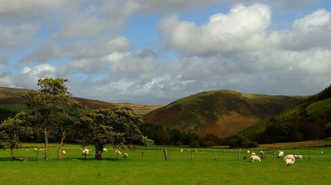 Krajobrazy u stóp wzgórza Y Garth