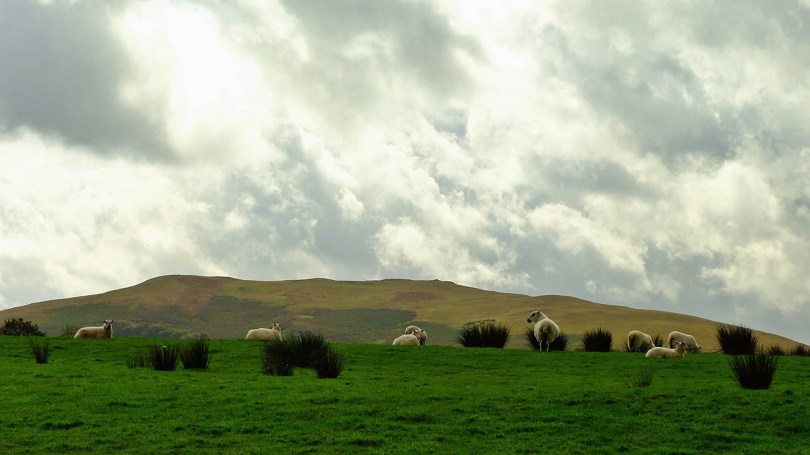 Krajobrazy u stóp wzgórza Y Garth